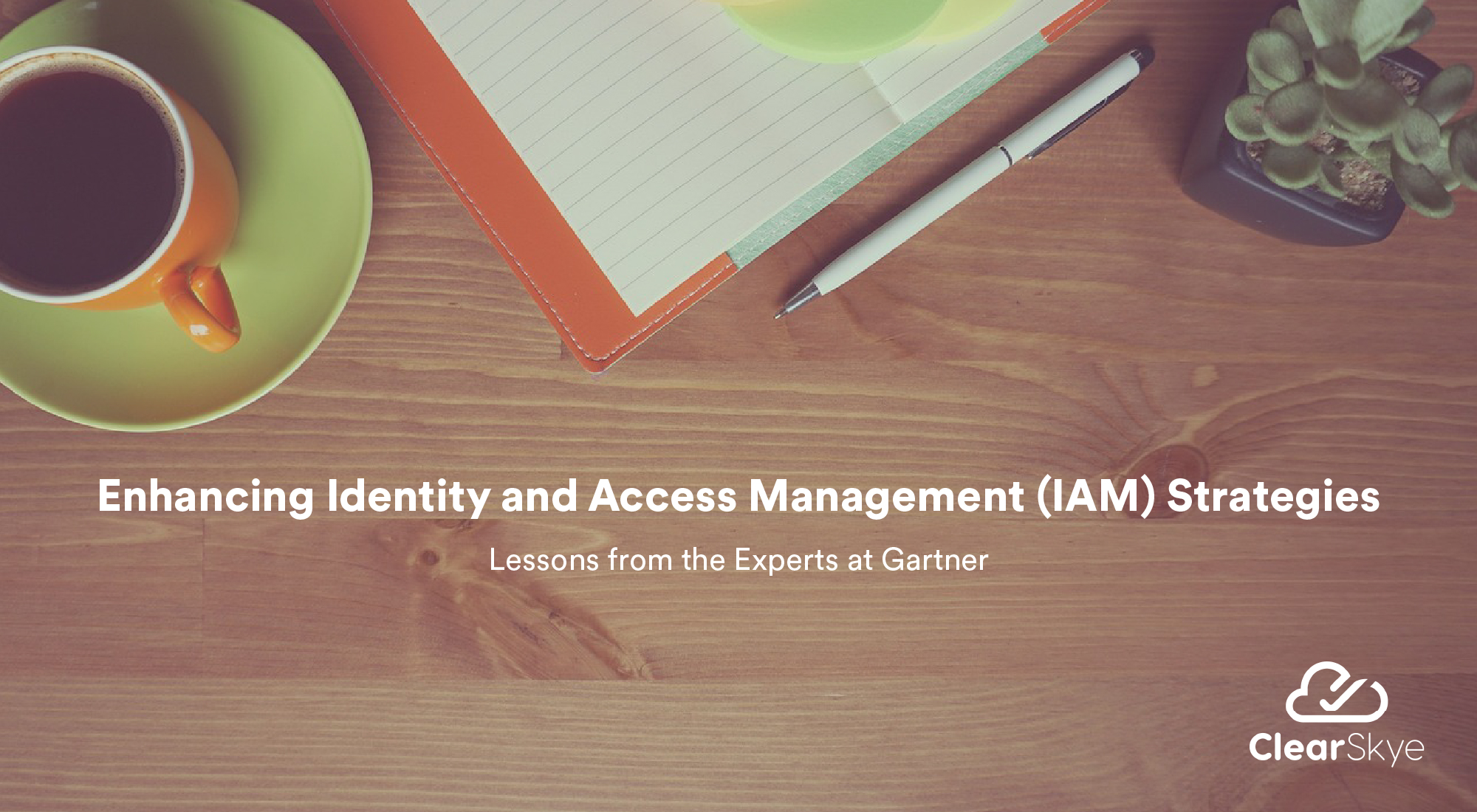 Enhancing Identity and Access Management (IAM) Strategies—Lessons from